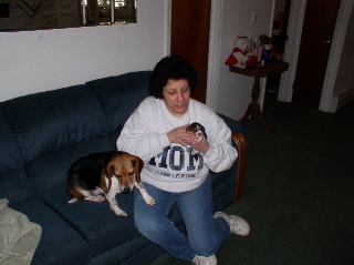 /i/DOGS/terry_1.JPG